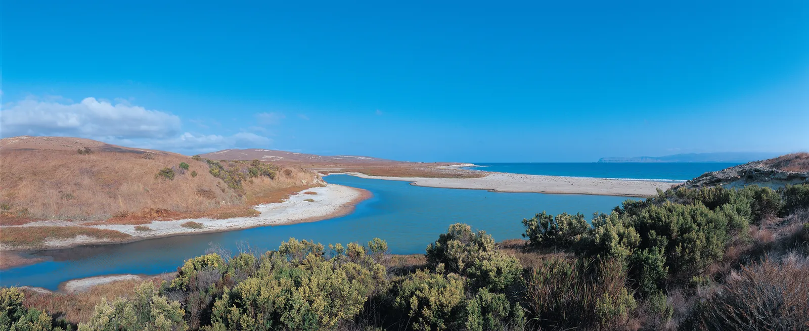 Abalone Rocks Marsh