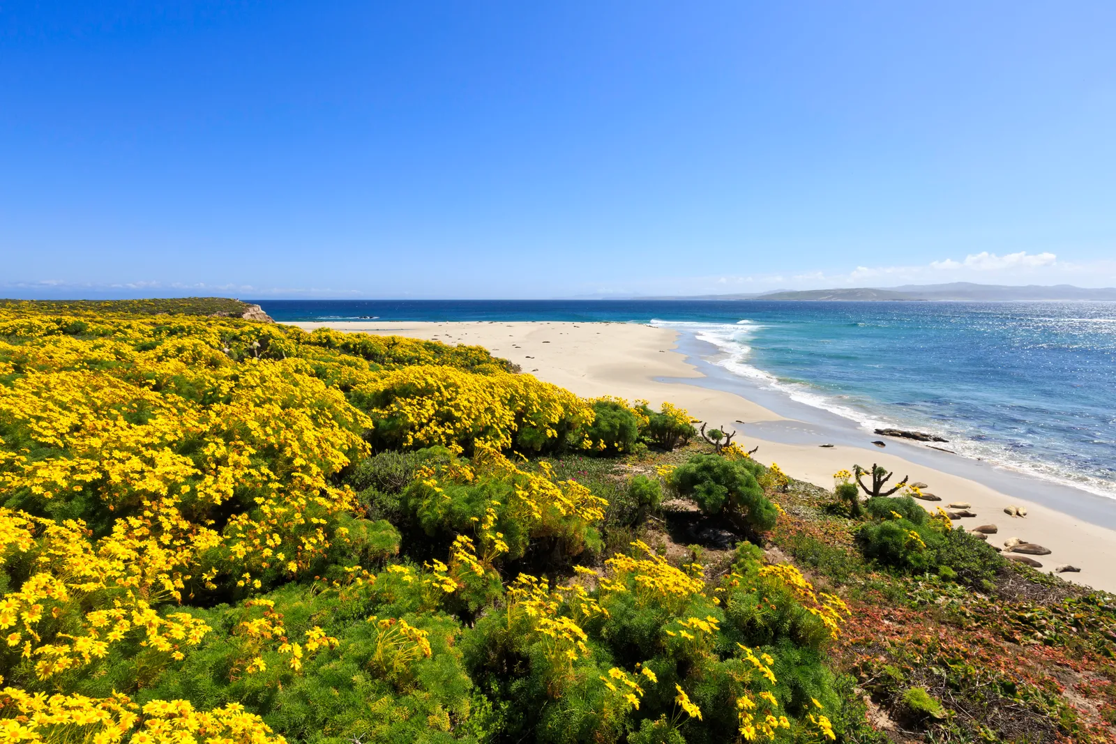 Cardwell Point Hike