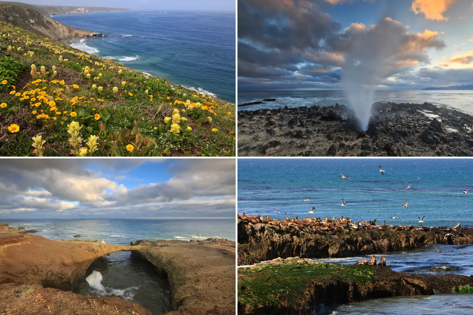 Carrington Point Hike