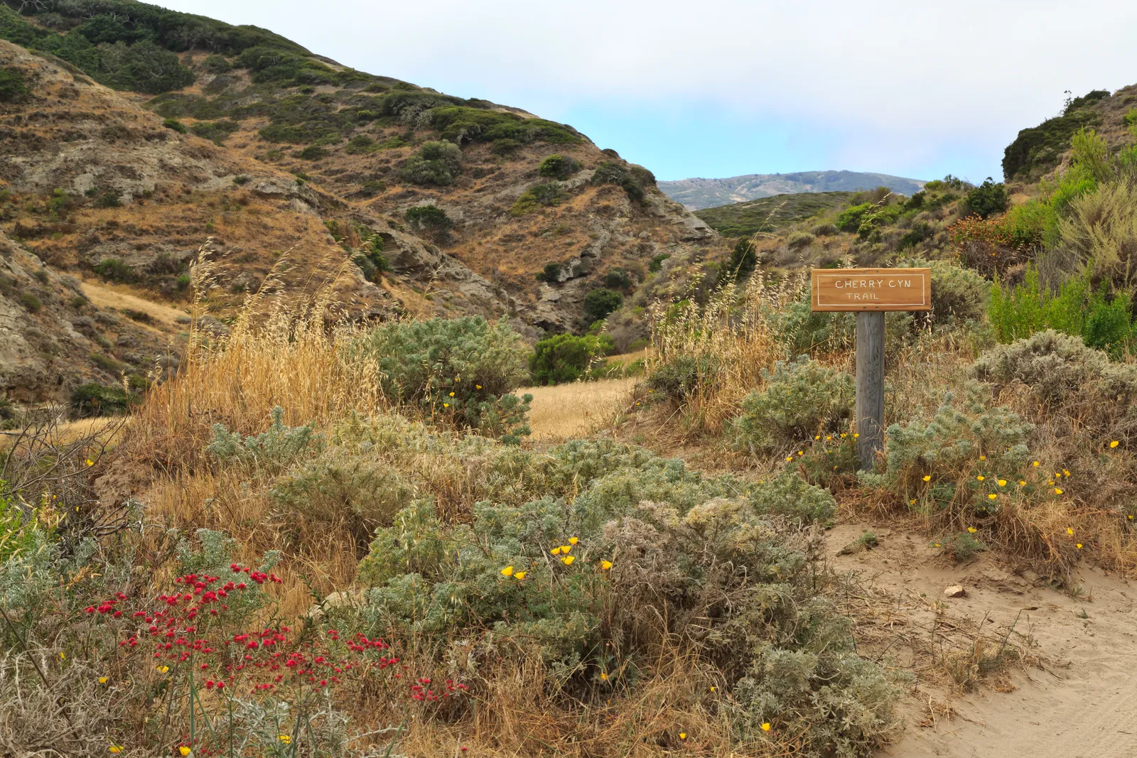 Cherry Canyon Hike