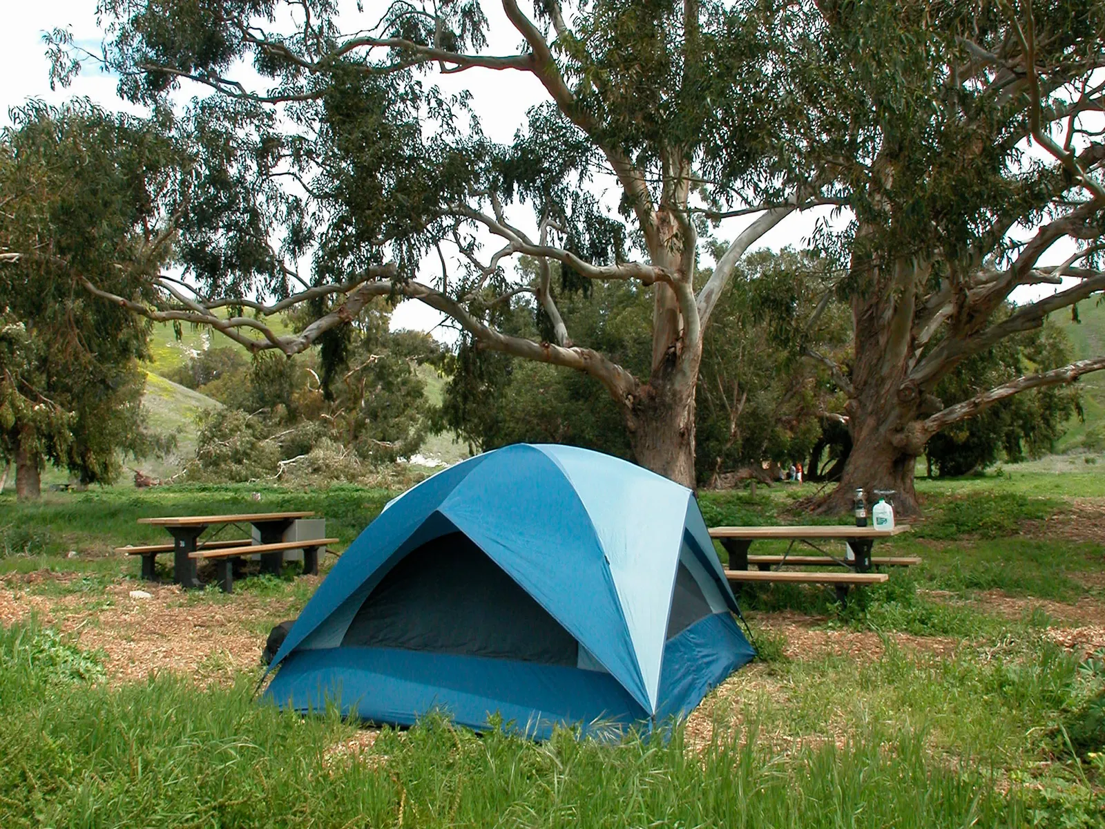 Santa Cruz Island Scorpion Canyon Campground