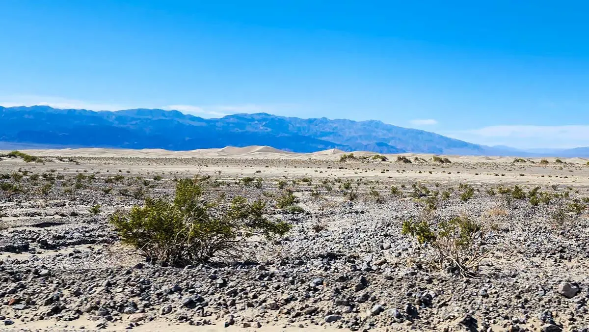 Mesquite Flat Sand Dunes