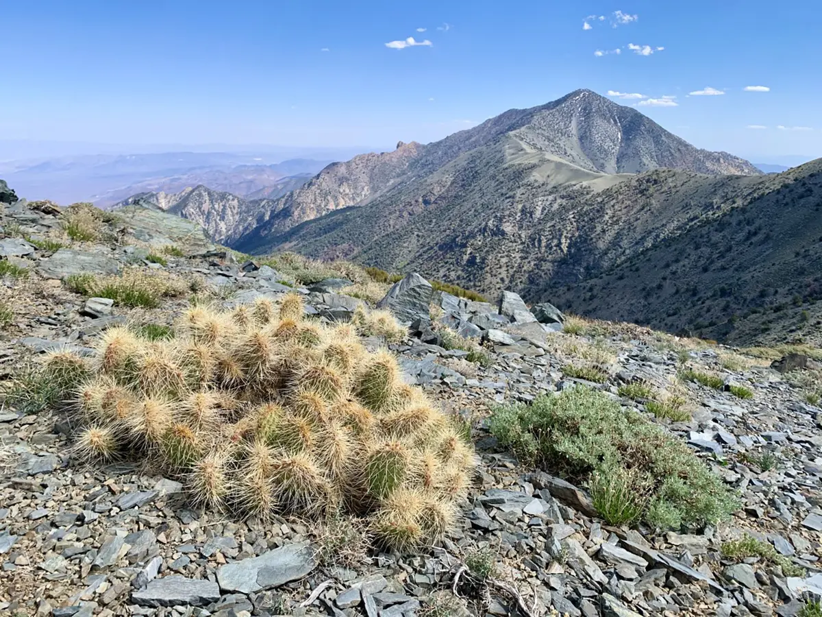 Telescope Peak Trail
