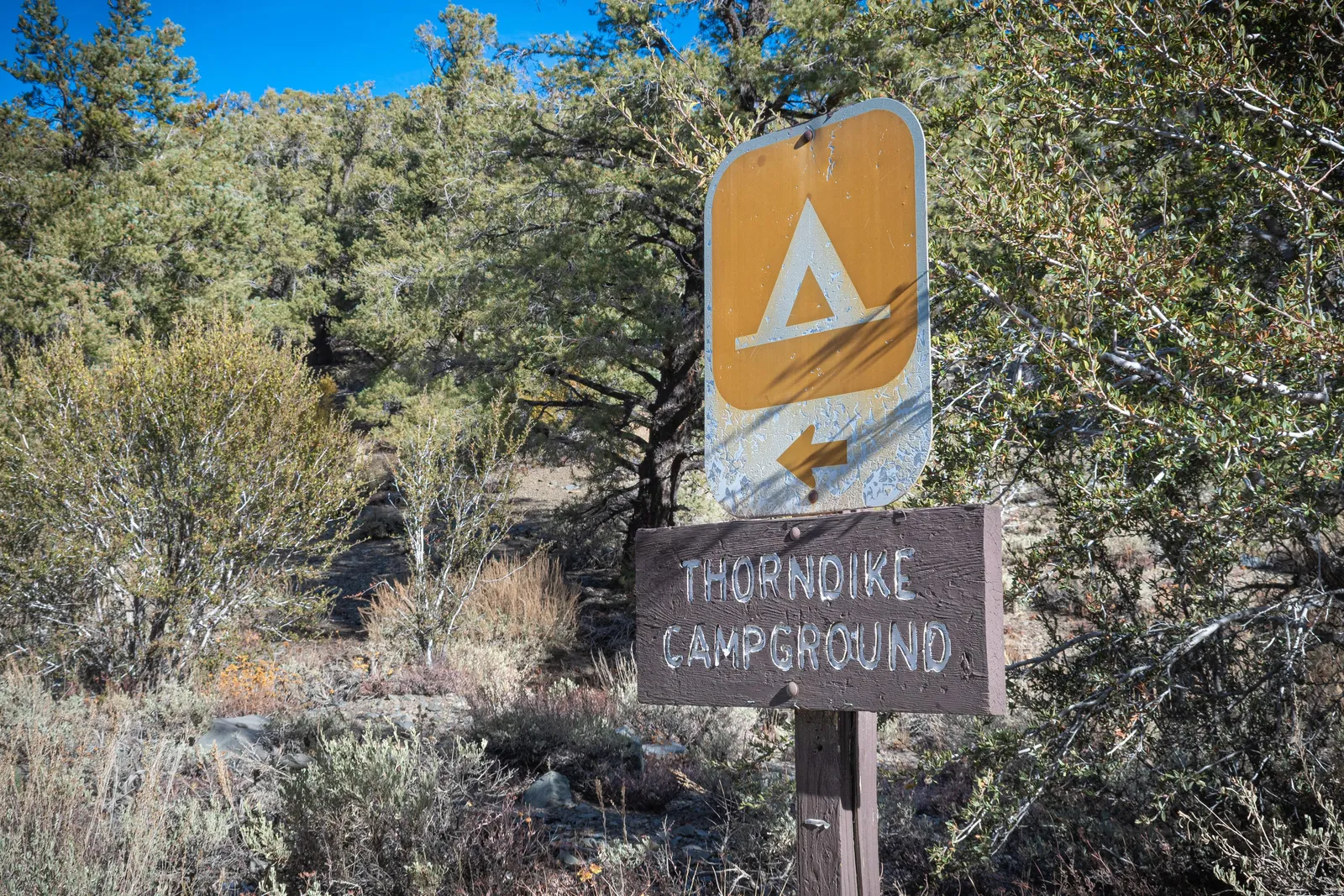Thorndike Campground (Primitive)