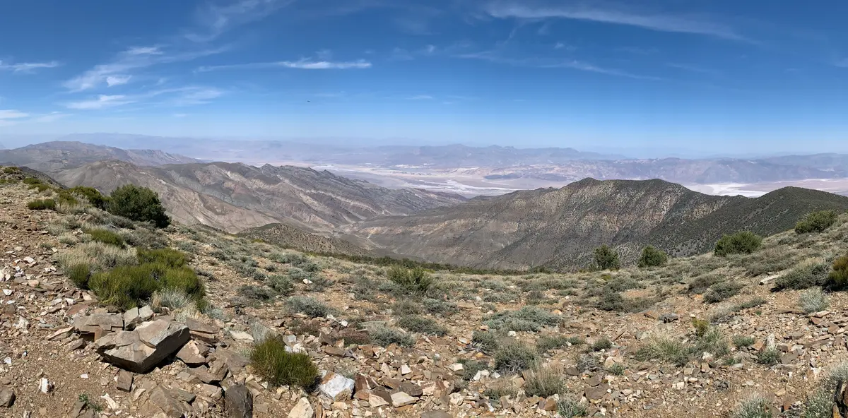 Wildrose Peak Trail