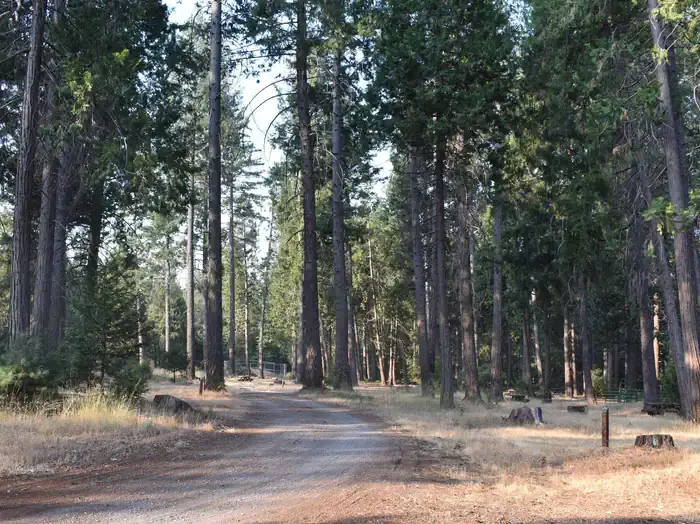 Dru Barner Campground