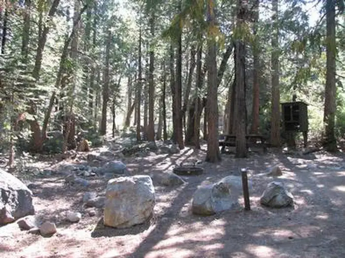 STUMPY MEADOWS