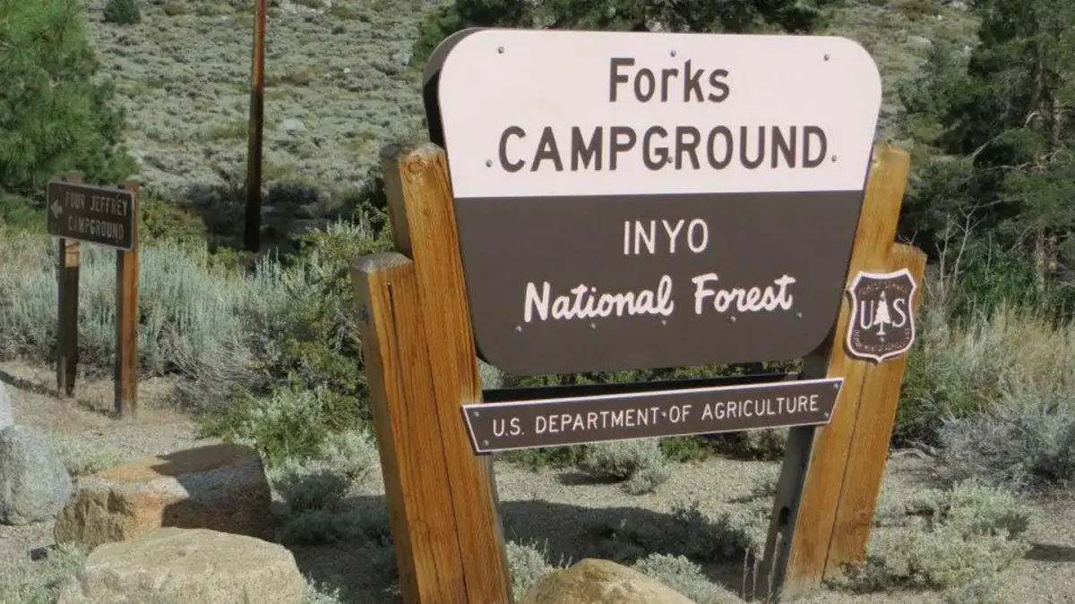 Forks Campground (Inyo)