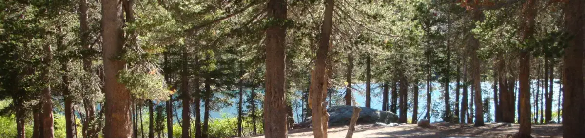 LAKE MARY CAMPGROUND