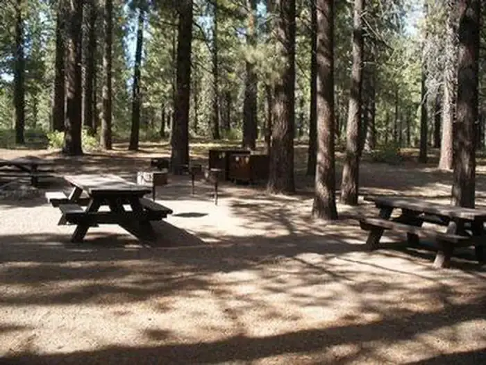 PINE GLEN