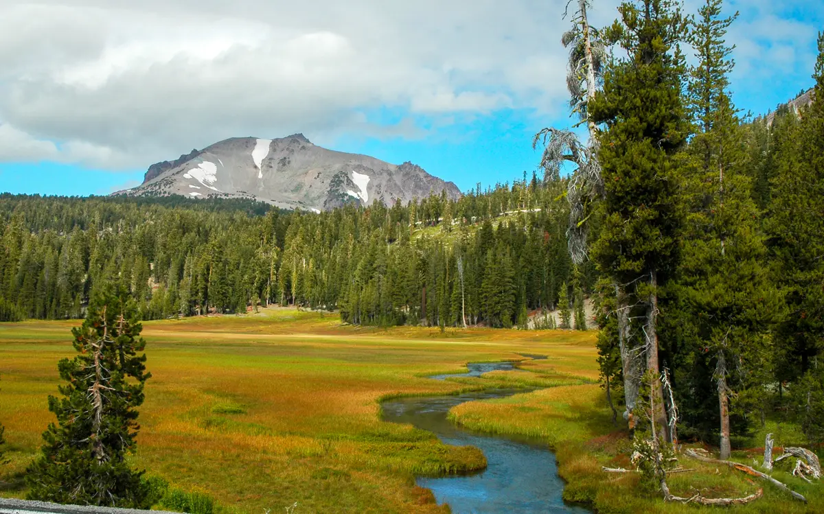 to Kings Creek Falls
