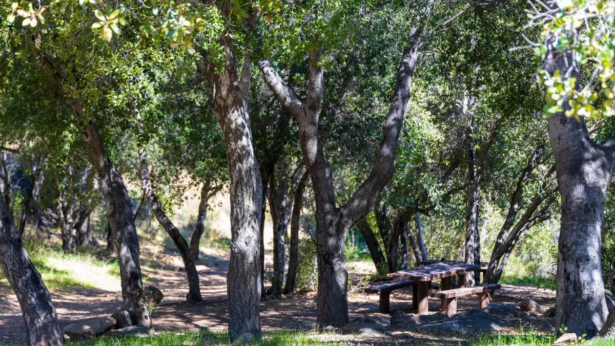 HOLIDAY GROUP CAMPGROUND