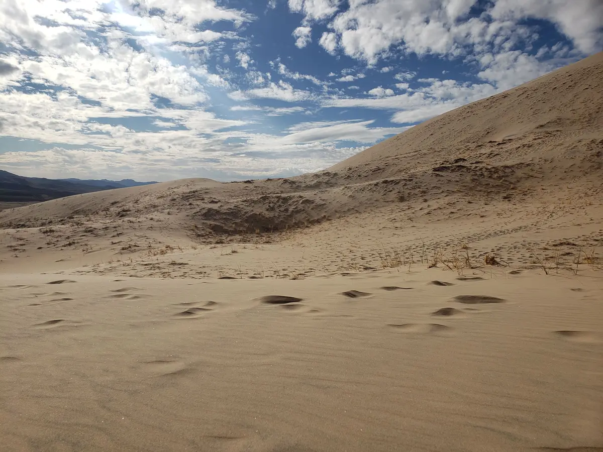 the Kelso Dunes