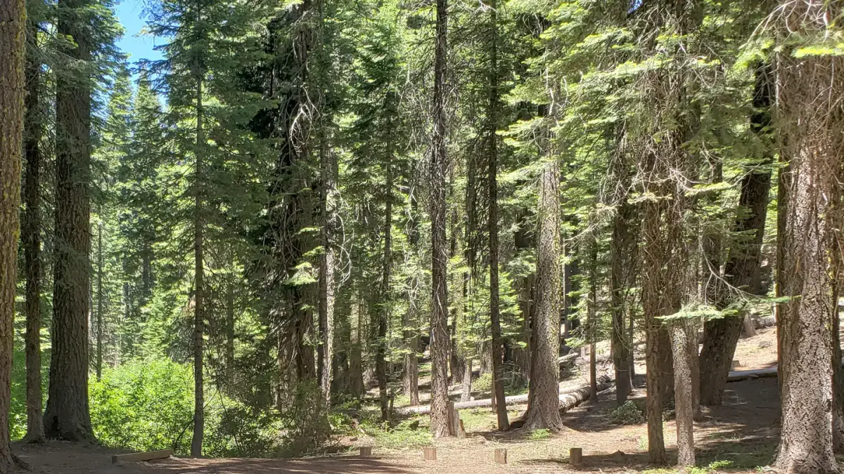 Grizzly Creek Campground (CA)