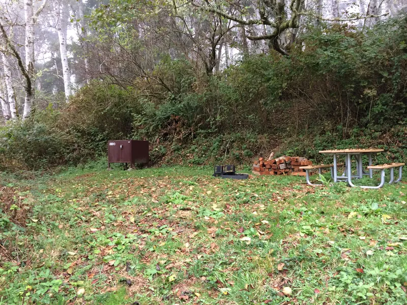 A brown bearproof box, a pile of wood and picnic table next to brush and trees.