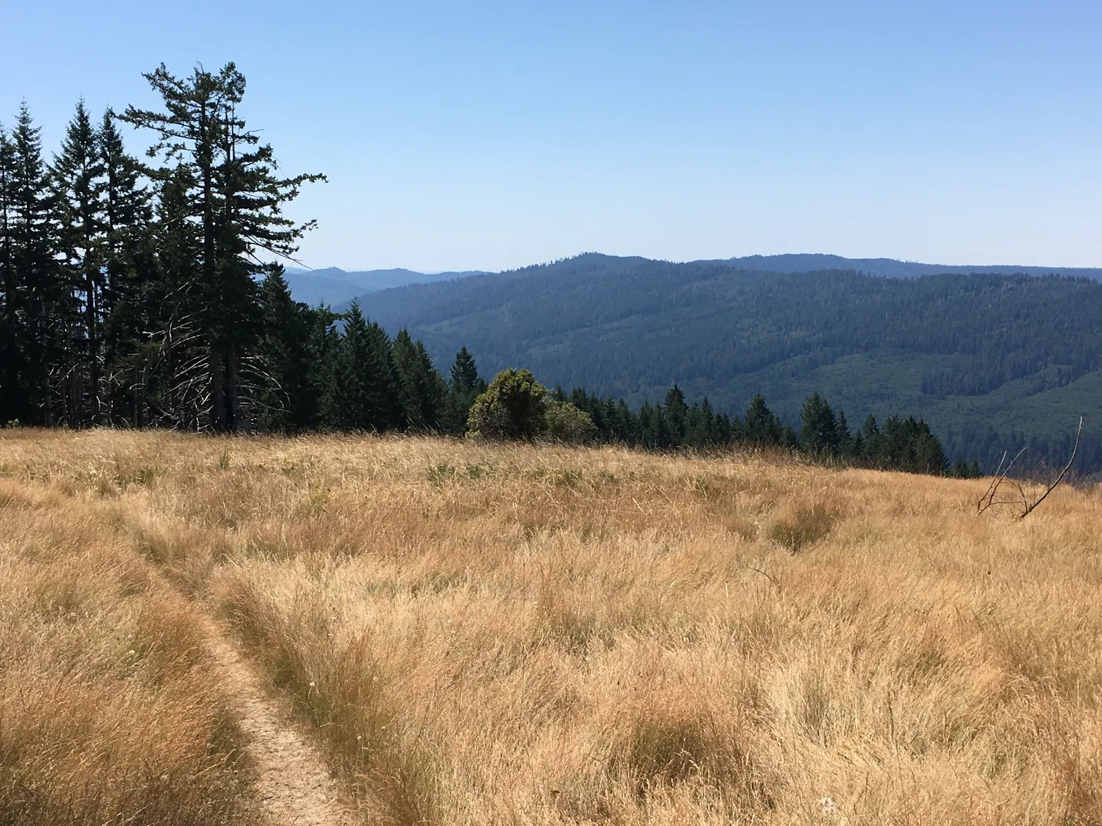 Dolason Prairie Trail