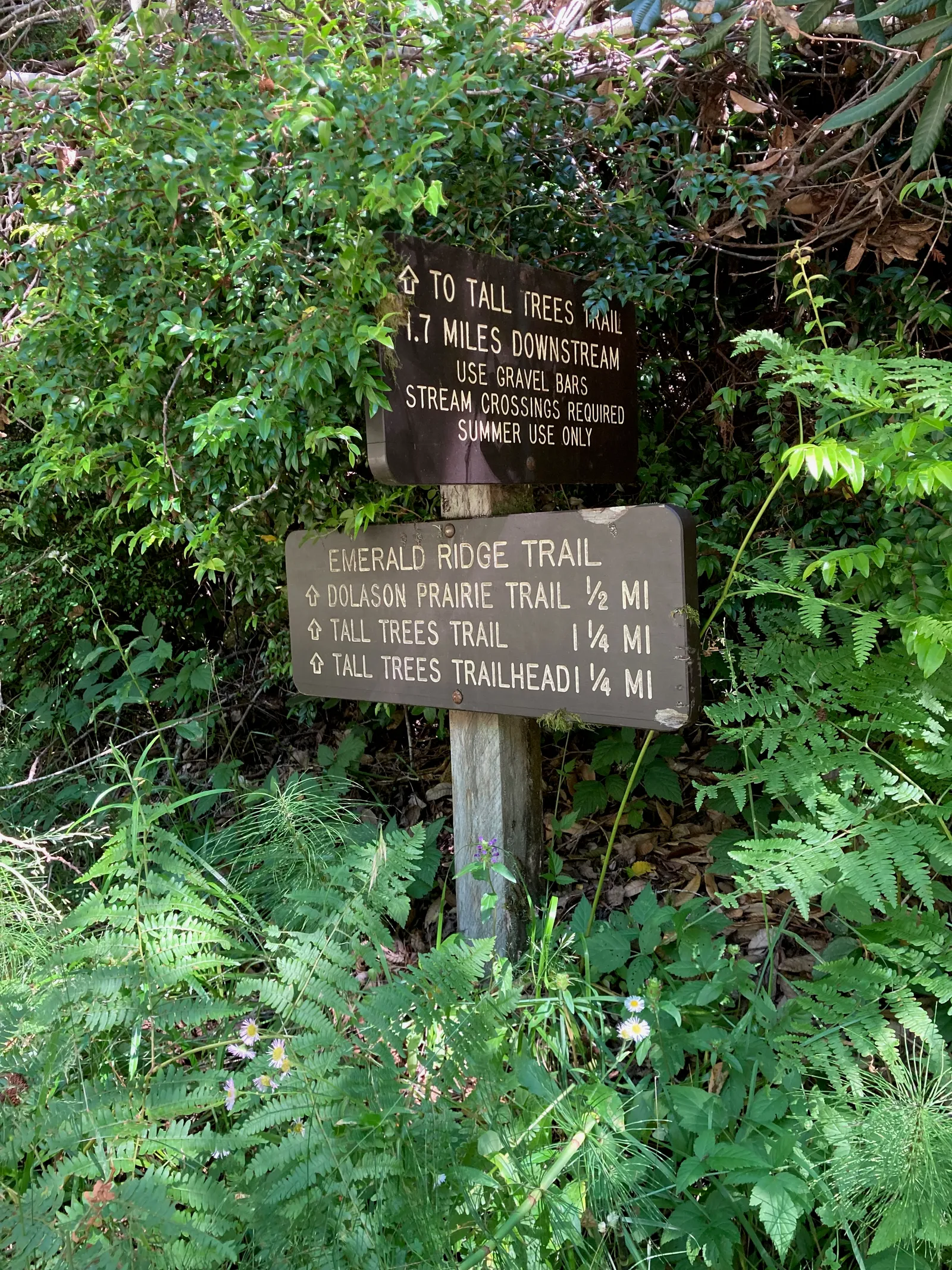 Emerald Ridge Trail