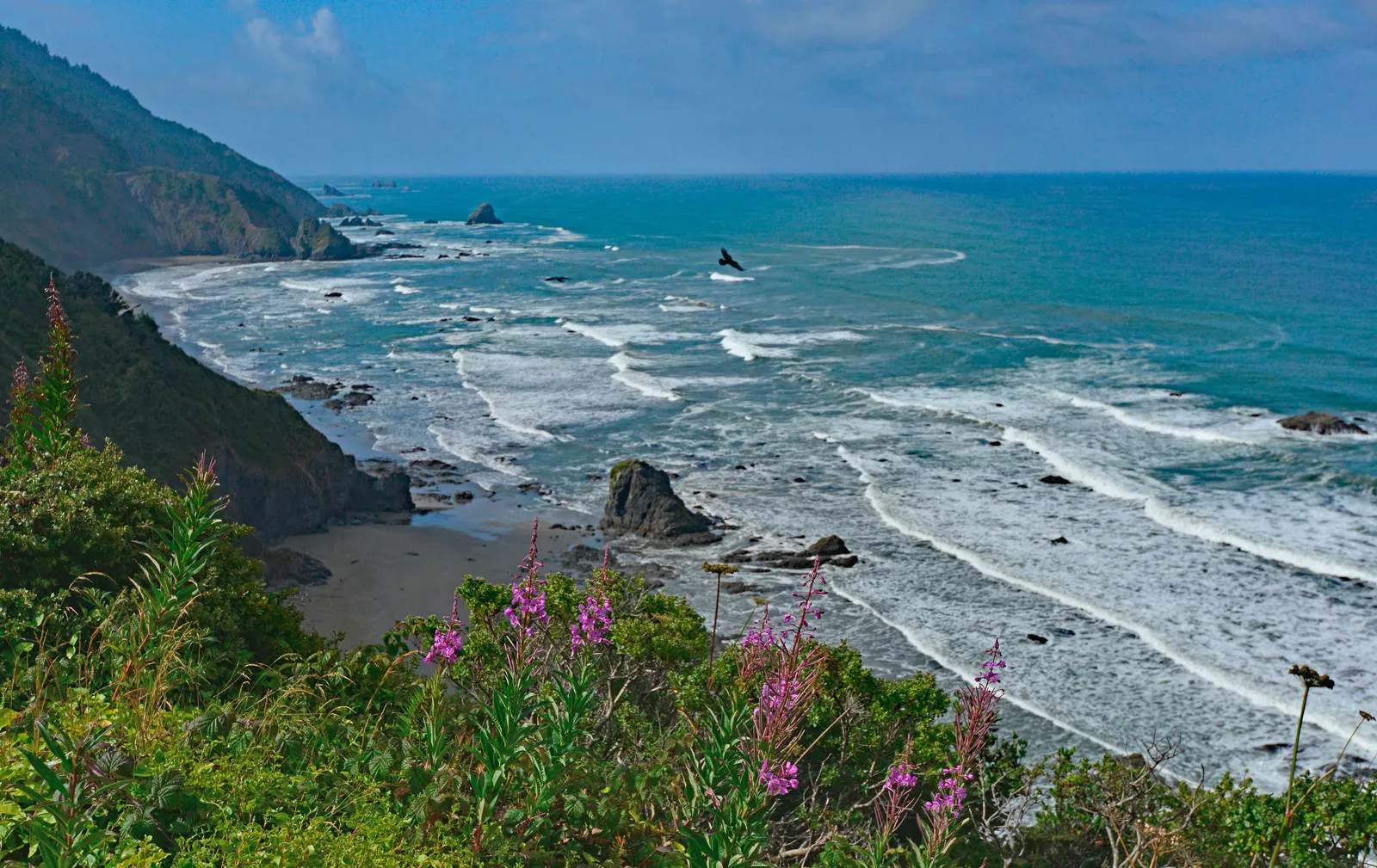 Enderts Beach