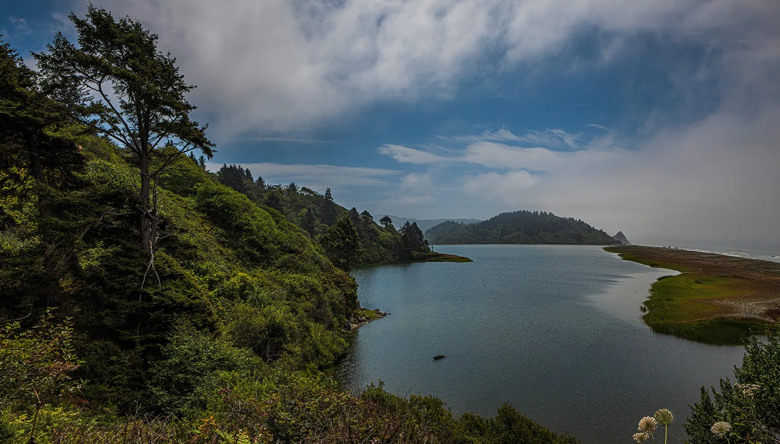 Freshwater Lagoon