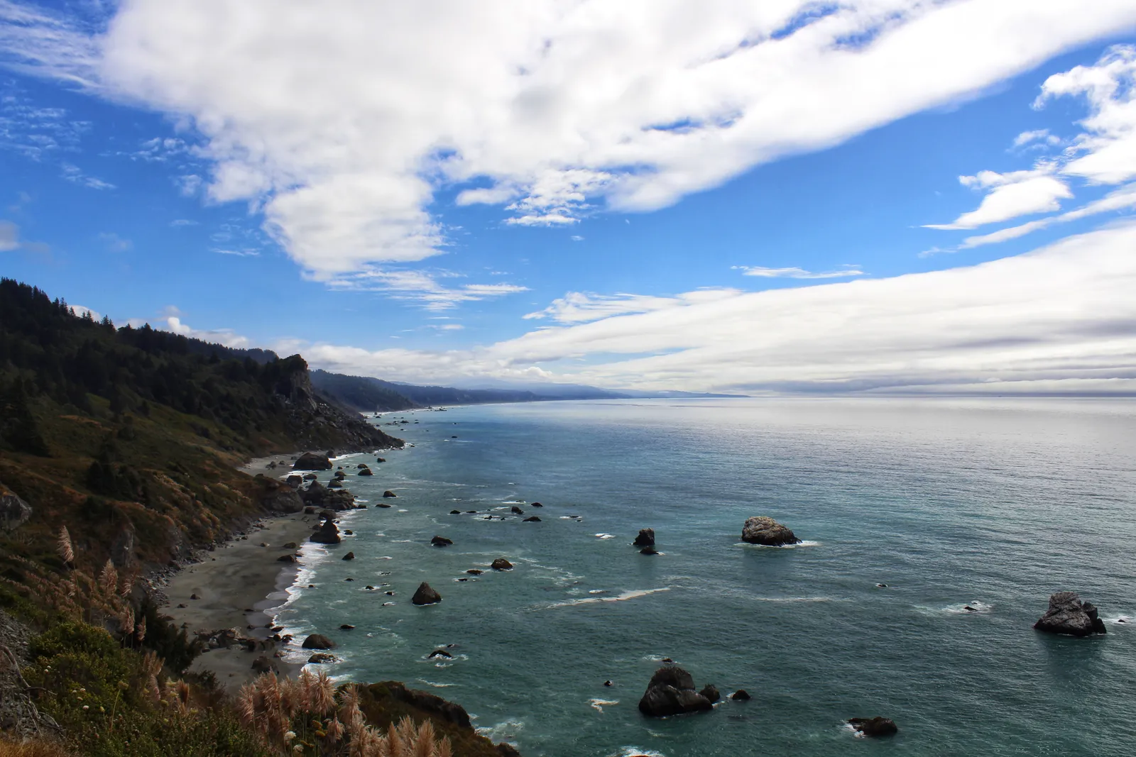 High Bluff Overlook