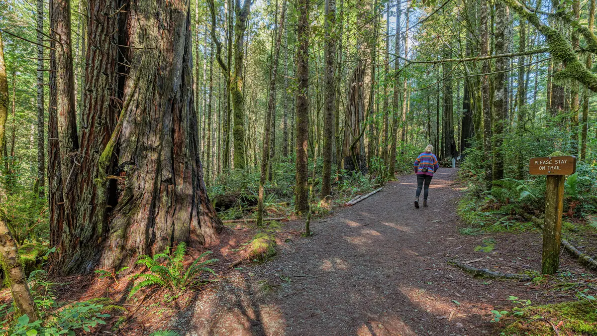 Lady Bird Johnson Nature Trail Beginning