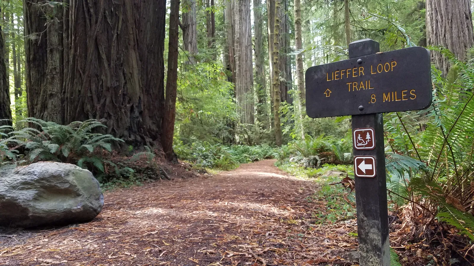 Lieffer Loop Trail
