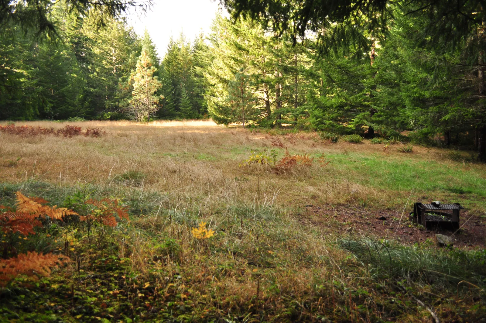 Little Bald Hills Backcountry Camp