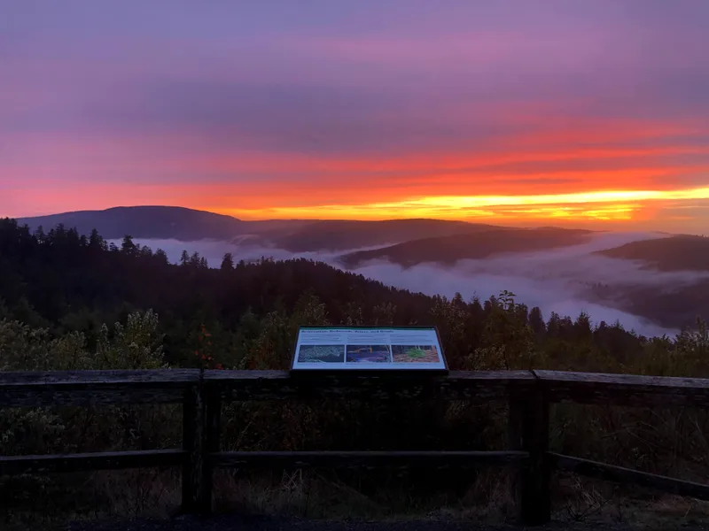 A beautiful sunset at Redwood Creek Overlook