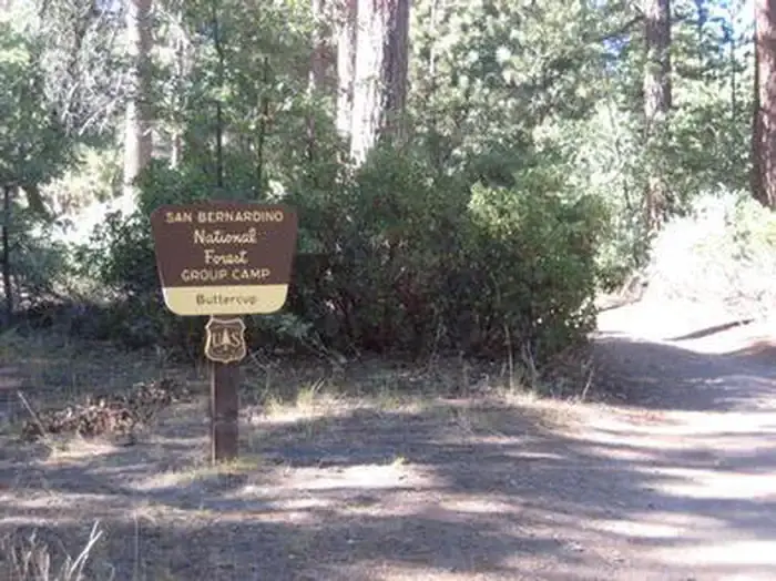 BUTTERCUP GROUP CAMP