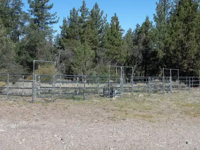GREEN SPOT EQUESTRIAN GROUP CAMP