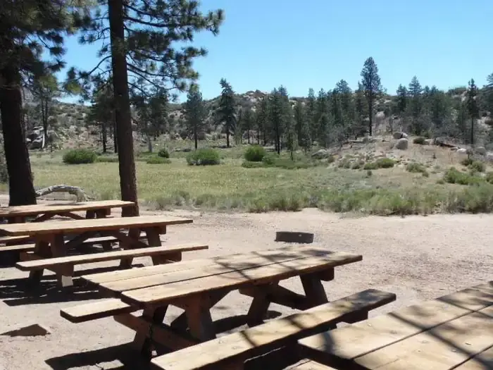 IRONWOOD GROUP CAMP