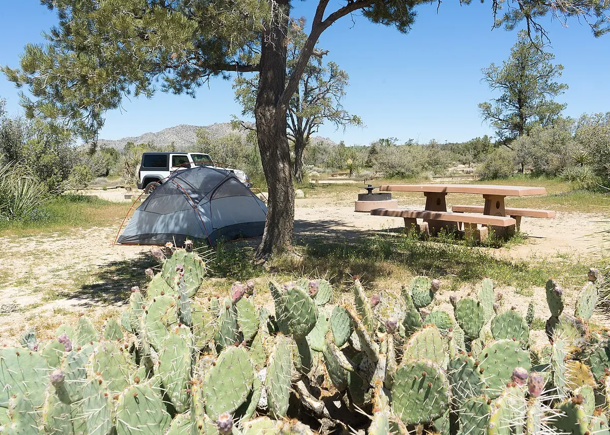 Pinyon Flat Campground (San Bernardino National Forest)