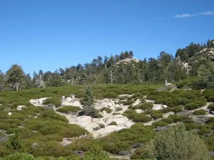 SHADY COVE GROUP CAMPGROUND
