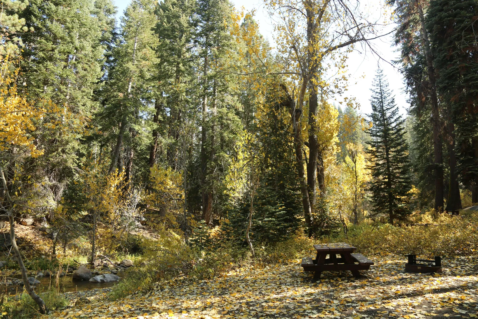 Cold Springs Campground