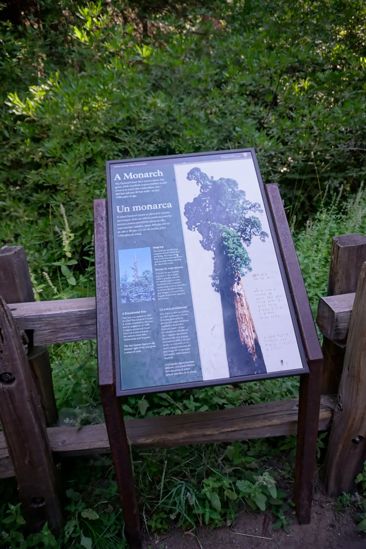 Monarch Lakes Trail