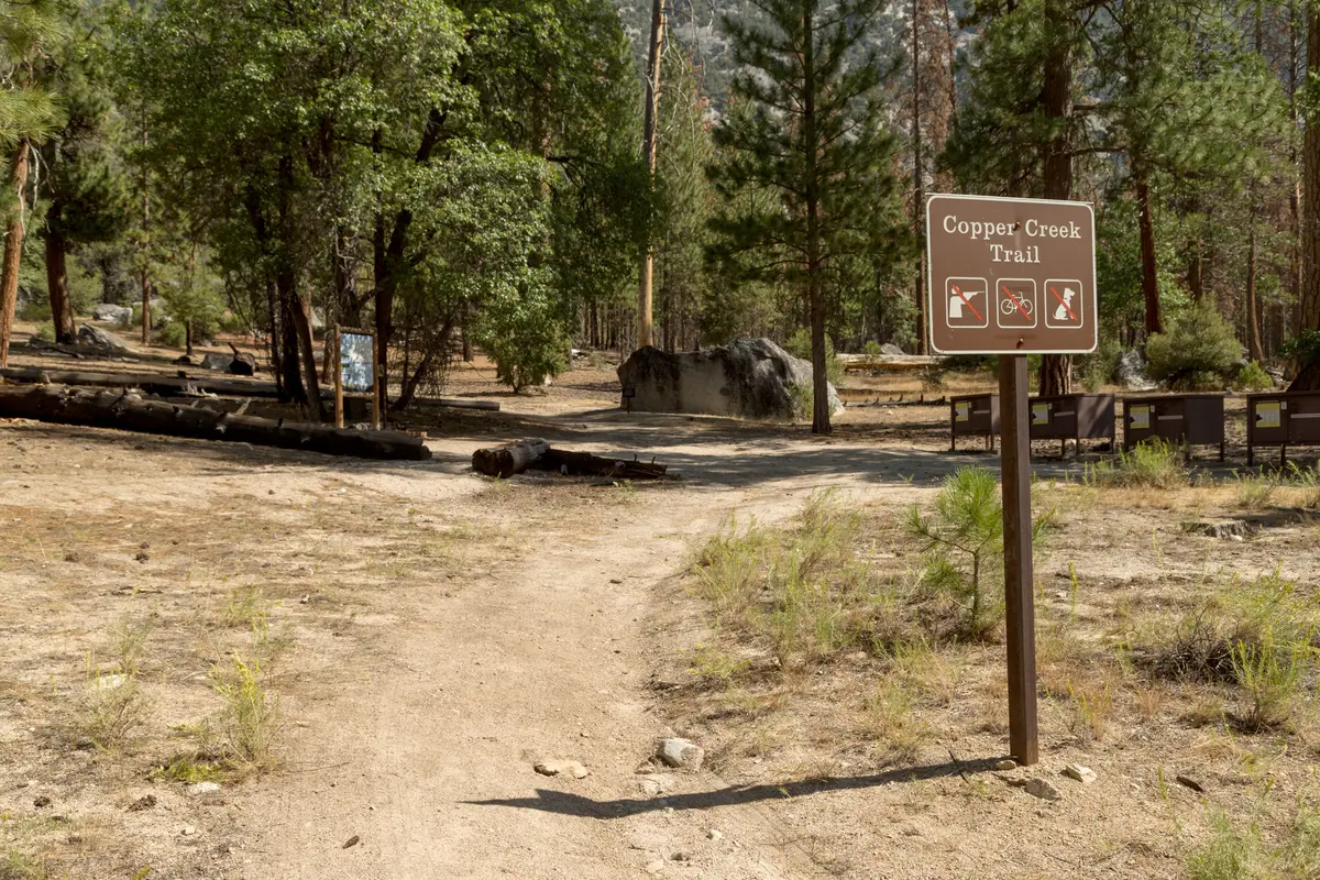 Paradise Creek
