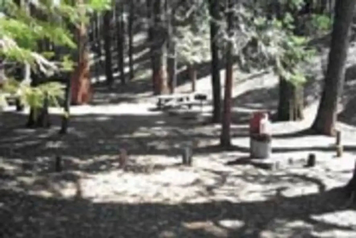 BELKNAP