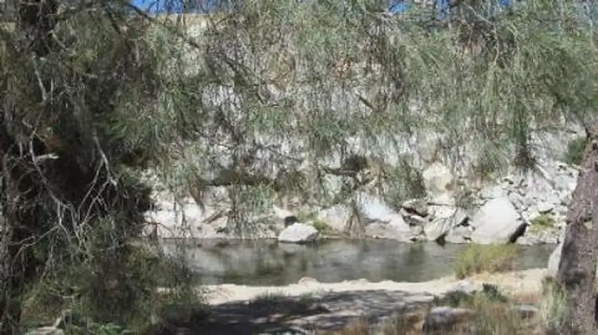 SANDY FLAT