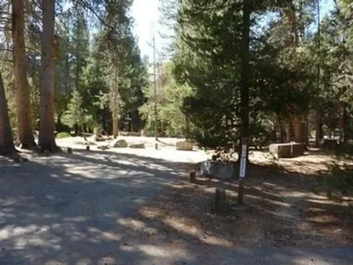 JACKASS MEADOW