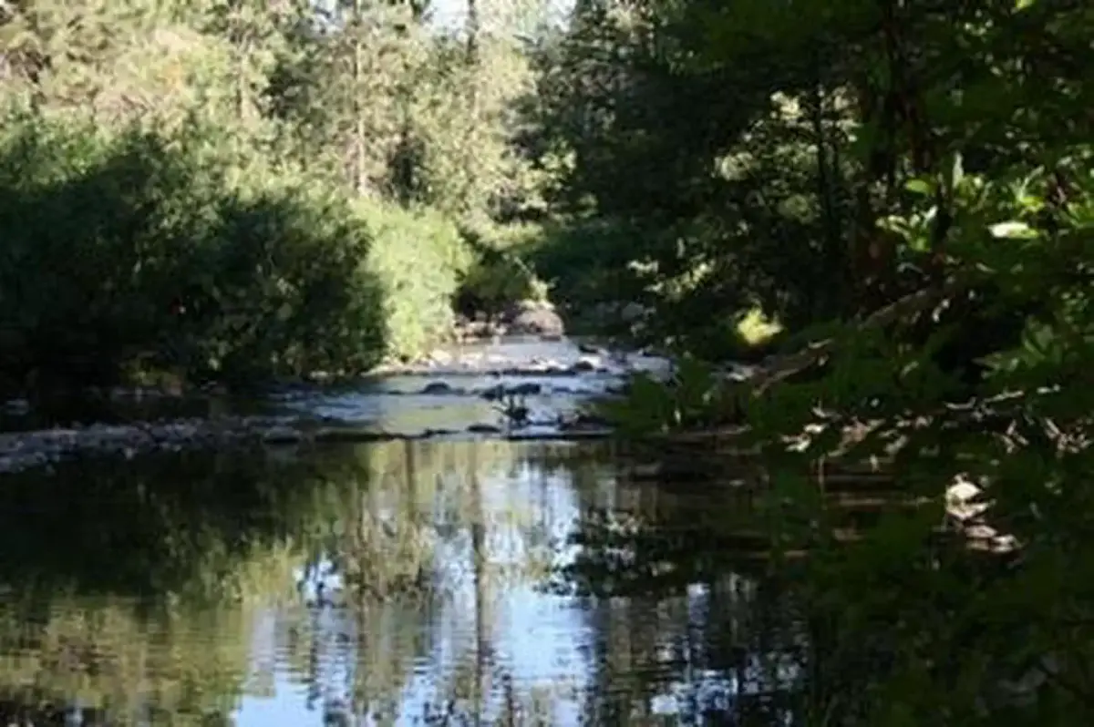 SUMMERDALE CAMPGROUND