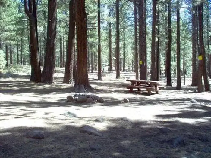 Boca Springs Campground