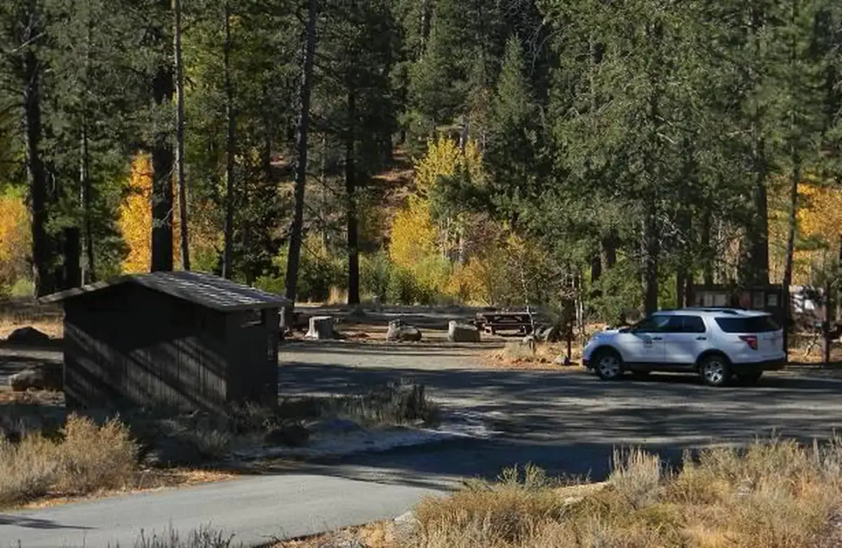 LOWER LITTLE TRUCKEE
