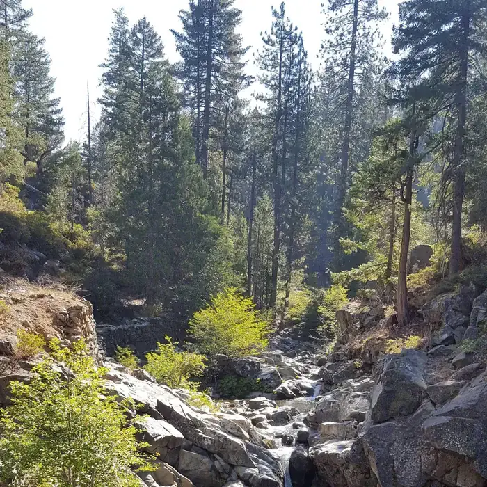 NORTH FORK (CA)