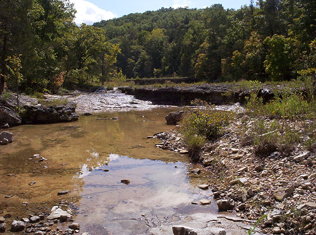 Irish Wilderness Stream