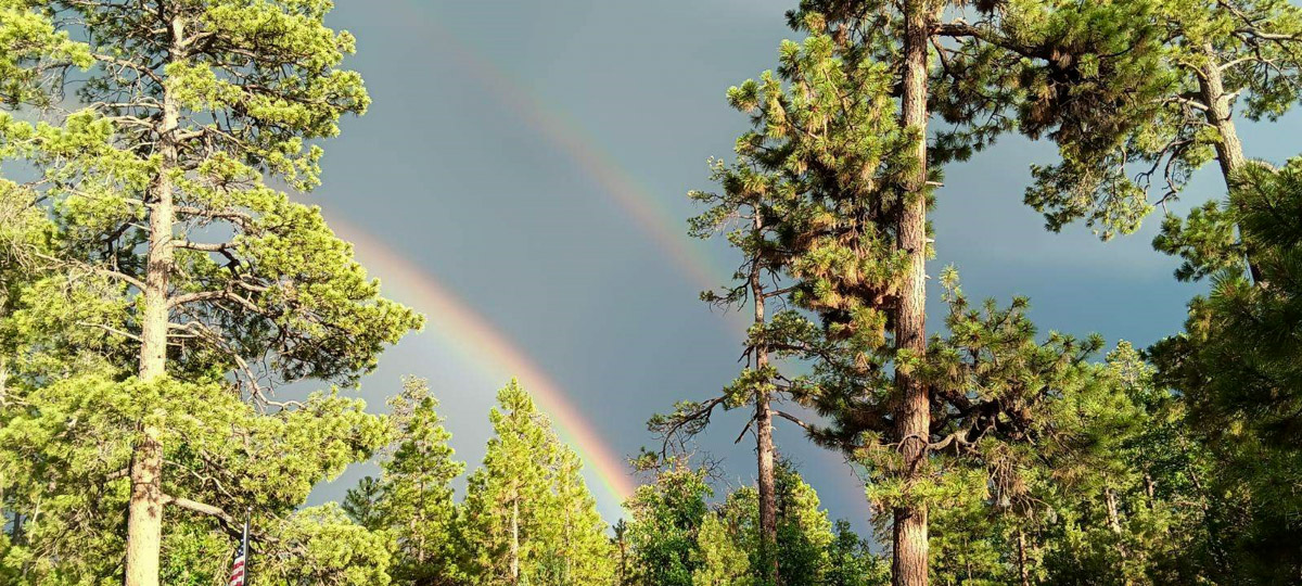 Rock Crossing Campground – Coconino National Forest