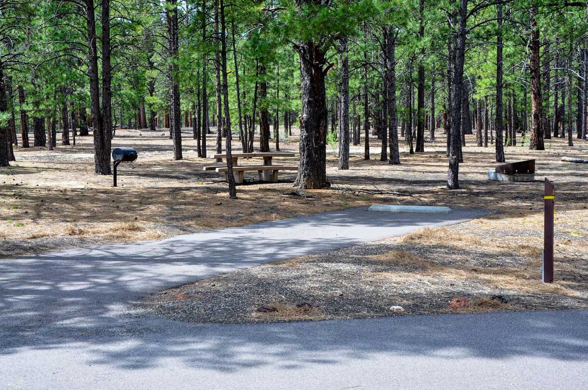 Bonito Campground – Cochino National Forest
