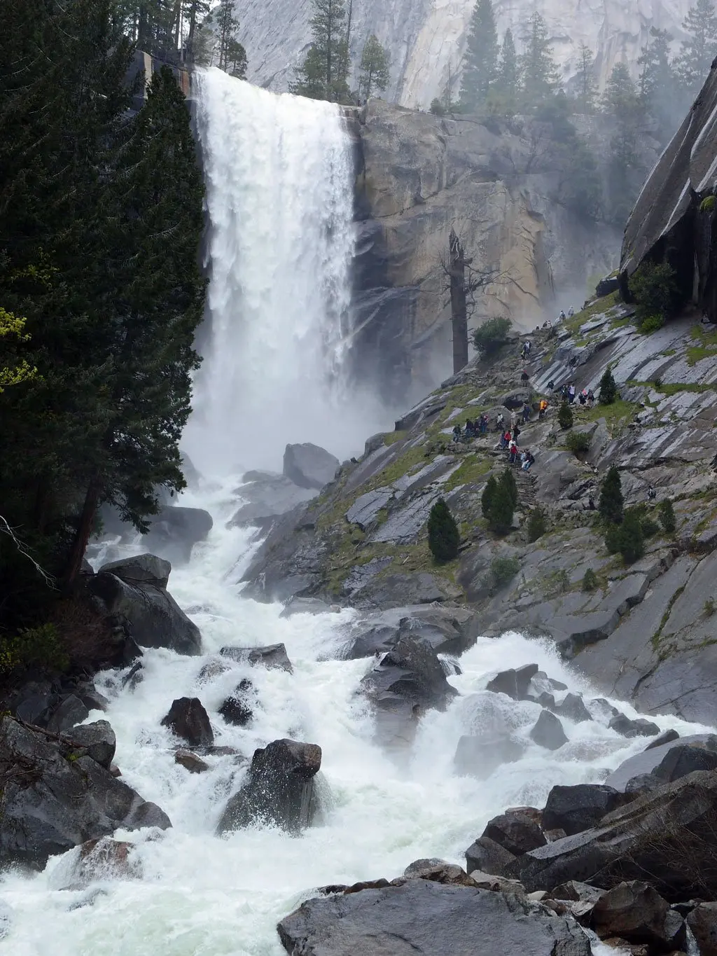 Mist Trail