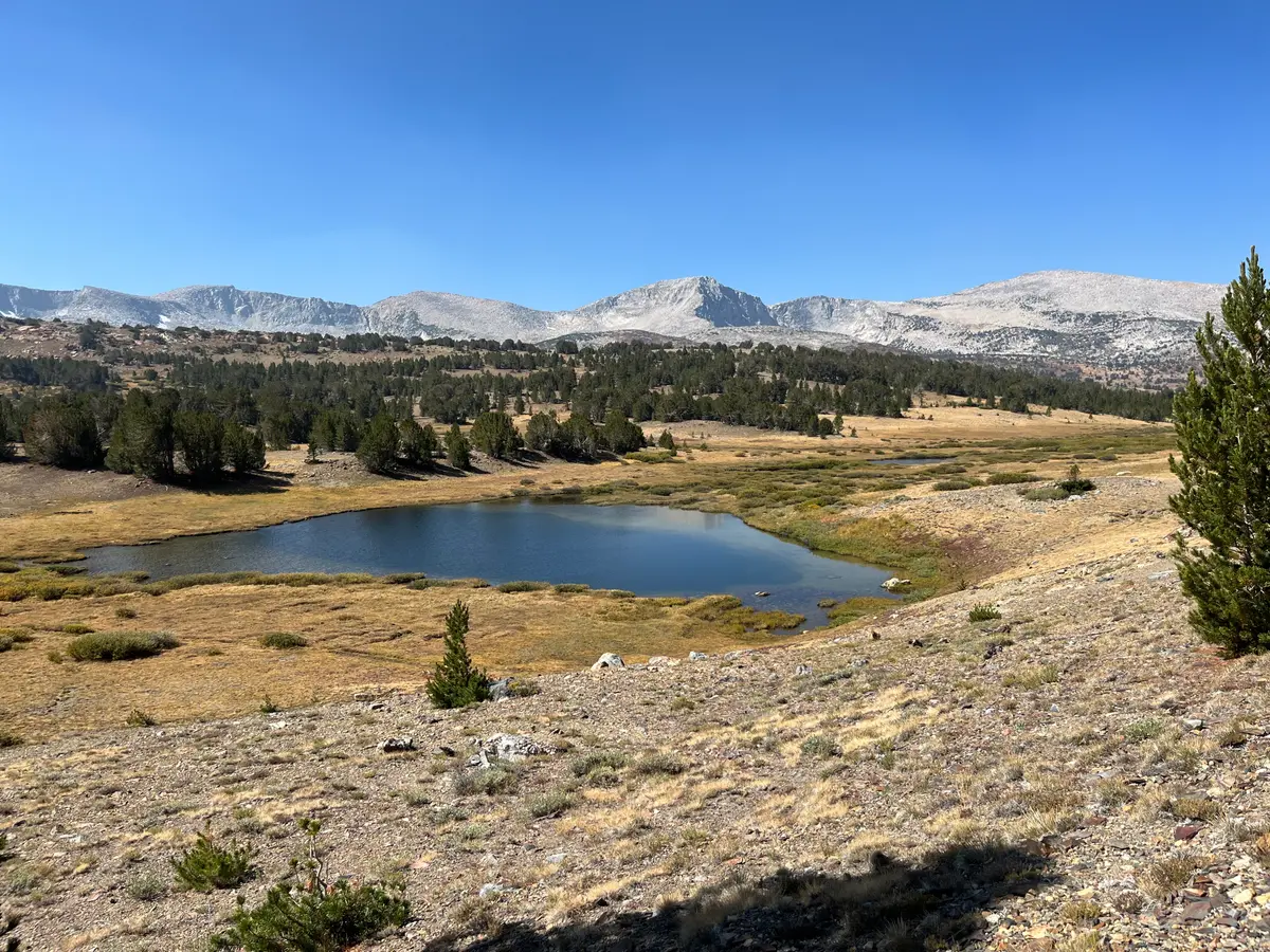 Mono Pass Trail