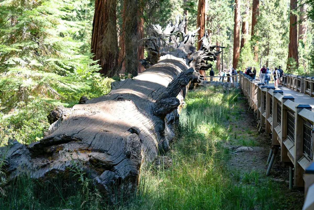 Wapama Falls Trail