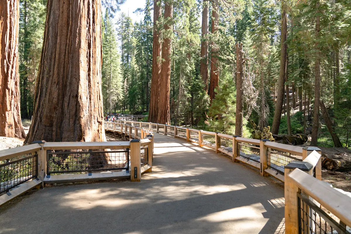 Young Lakes Trail